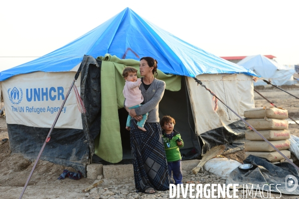 Yazidi Refugees at Khanke camp in Iraq. Réfugiés Yazidi au camp Khanke en Irak.