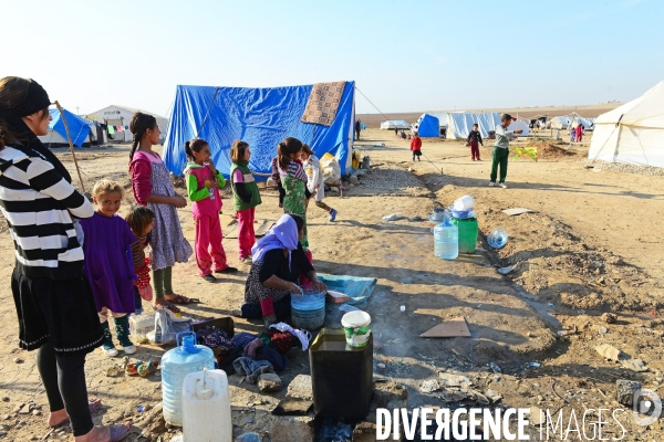 Yazidi Refugees at Khanke camp in Iraq. Réfugiés Yazidi au camp Khanke en Irak.