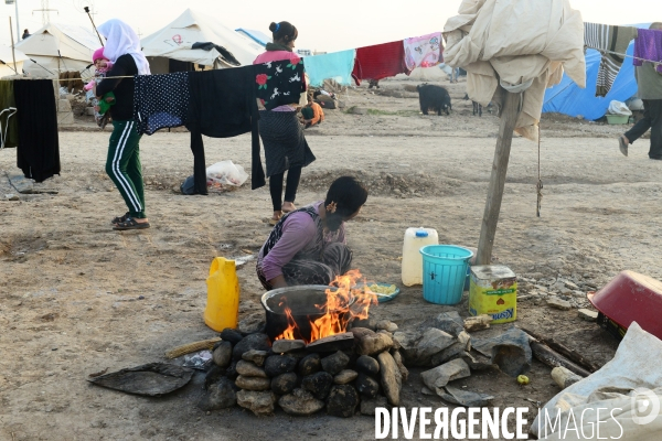 Yazidi Refugees at Khanke camp in Iraq. Réfugiés Yazidi au camp Khanke en Irak.