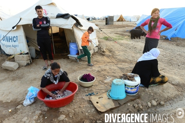 Yazidi Refugees at Khanke camp in Iraq. Réfugiés Yazidi au camp Khanke en Irak.