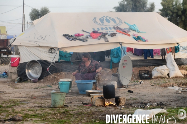 Yazidi Refugees at Khanke camp in Iraq. Réfugiés Yazidi au camp Khanke en Irak.