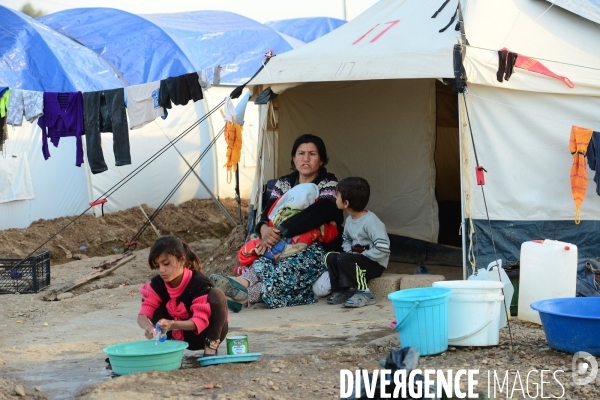 Yazidi Refugees at Khanke camp in Iraq. Réfugiés Yazidi au camp Khanke en Irak.