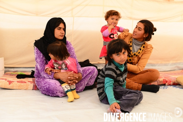 Yazidi Refugees at Khanke camp in Iraq. Réfugiés Yazidi au camp Khanke en Irak.