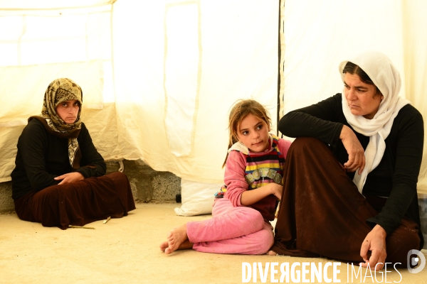 Yazidi Refugees at Khanke camp in Iraq. Réfugiés Yazidi au camp Khanke en Irak.