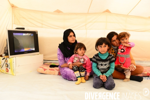 Yazidi Refugees at Khanke camp in Iraq. Réfugiés Yazidi au camp Khanke en Irak.