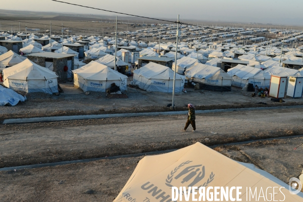 Yazidi Refugees at Khanke camp in Iraq. Réfugiés Yazidi au camp Khanke en Irak.