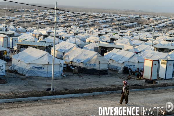 Yazidi Refugees at Khanke camp in Iraq. Réfugiés Yazidi au camp Khanke en Irak.