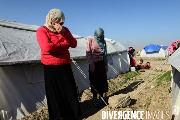 Yazidi women prisoner by Islamic State (ISIS) fighters in Iraq. Yazidi femmes prisonnier par combattants État islamique (EI) en Irak.