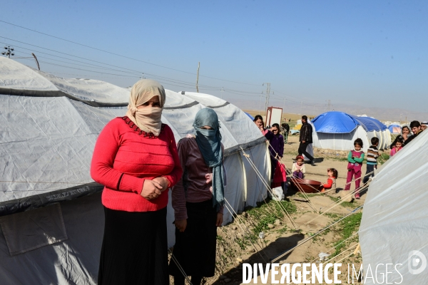 Yazidi women prisoner by Islamic State (ISIS) fighters in Iraq. Yazidi femmes prisonnier par combattants État islamique (EI) en Irak.