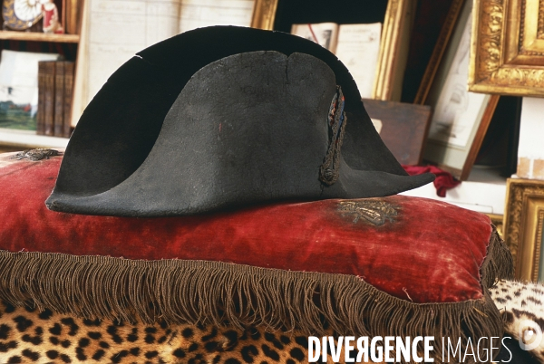 Napoleomania, une collection d objet du premier Empire presents par Pierre-Jean Chalençon expert et passione de Napoleon 1er