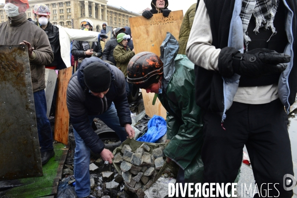 The Ukrainian Revolution 2014, The Fall of Kiev. La Révolution Ukrainienne 2014, La Chute de Kiev.