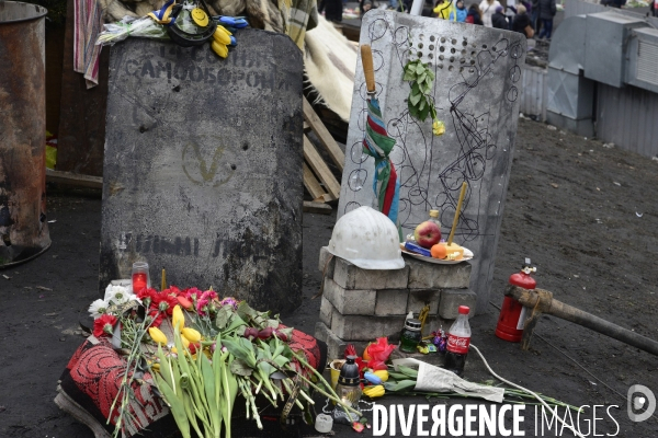 The Ukrainian Revolution 2014, The Fall of Kiev. La Révolution Ukrainienne 2014, La Chute de Kiev.