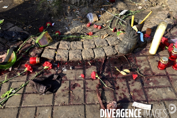 The Ukrainian Revolution 2014, The Fall of Kiev. La Révolution Ukrainienne 2014, La Chute de Kiev.