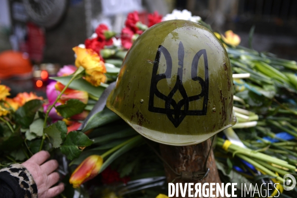 The Ukrainian Revolution 2014, The Fall of Kiev. La Révolution Ukrainienne 2014, La Chute de Kiev.