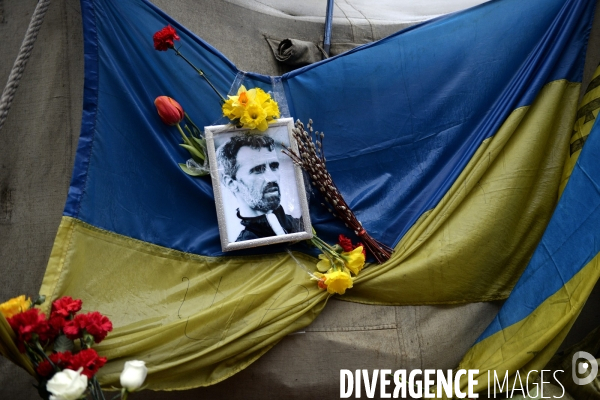 The Ukrainian Revolution 2014 aftermath. La Révolution Ukrainienne 2014 après.