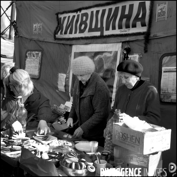 The Ukrainian Revolution 2014 Kiev. La révolution ukrainienne 2014 Kiev. B/W