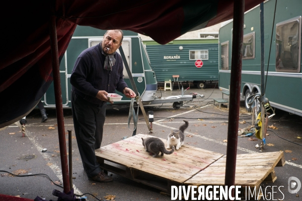 Les coulisses du cirque romanes.