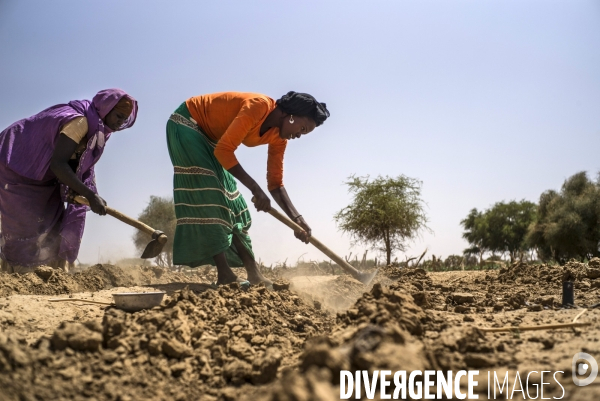 Reportage sur les camps de refugies soudanais a l est du tchad, a la frontiere avec le darfour.