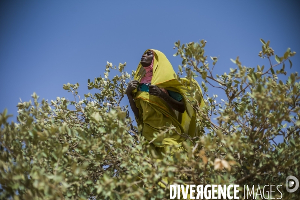 Reportage sur les camps de refugies soudanais a l est du tchad, a la frontiere avec le darfour.