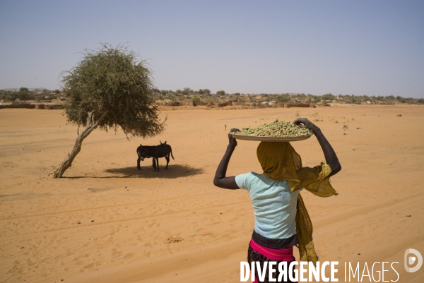 Reportage sur les camps de refugies soudanais a l est du tchad, a la frontiere avec le darfour.