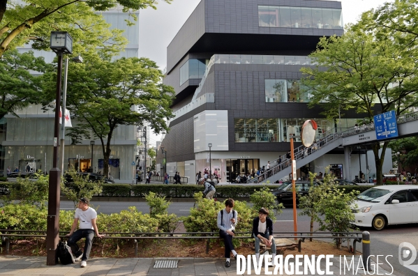 Tokyo / l avenue Omotesando