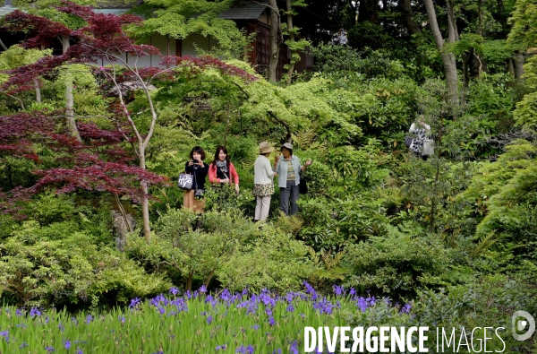 Tokyo / Le jardin du musée Nezu