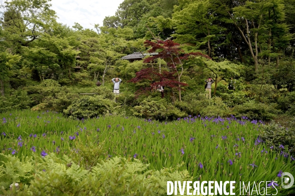 Tokyo / Le jardin du musée Nezu