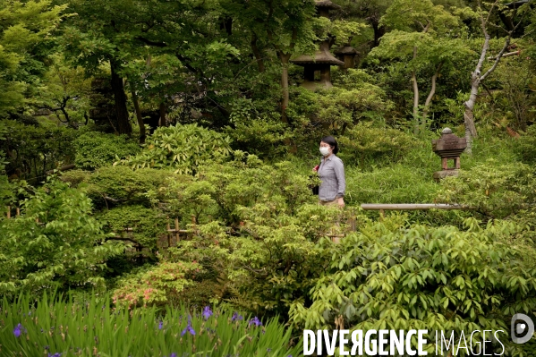 Tokyo / Le jardin du musée Nezu