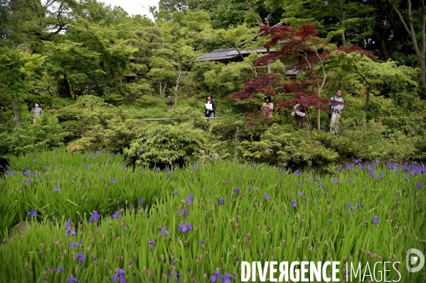 Tokyo / Le jardin du musée Nezu