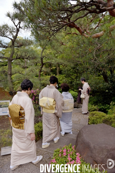 Tokyo / Le jardin du musée Nezu