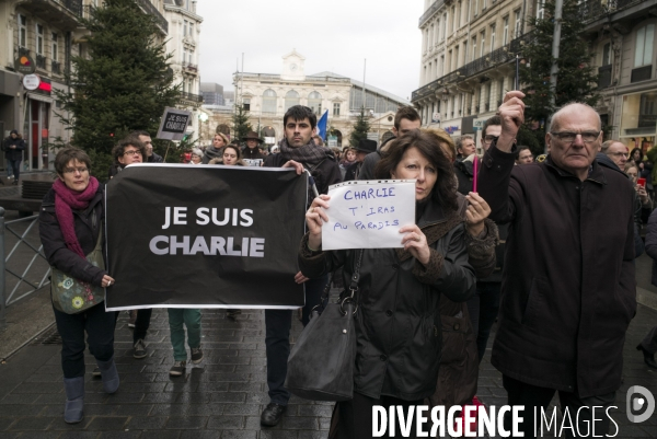 Je suis Charlie, Lille 2