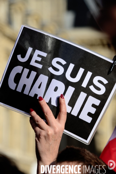 Republican March Unity Rally Against Terrorism in Paris. Marche Républicaine Contre le Terrorisme à Paris.