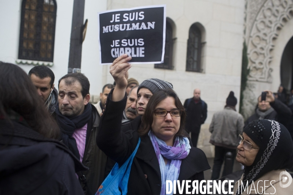 Affaire charlie hebdo. rassemblement sur la place de la republique, en hommage aux victimes de la tuerie dans les locaux de charlie hebdo.