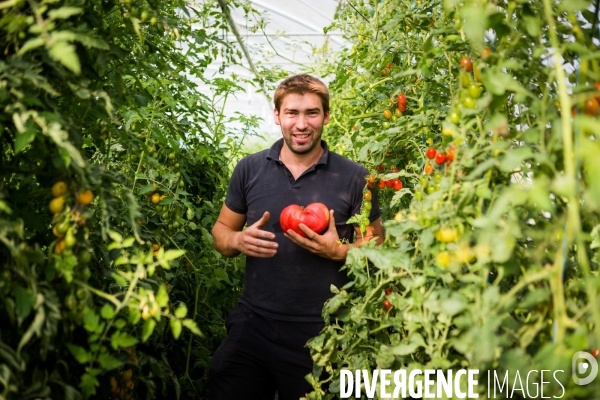 Clément Beucher, maraîcher bio en Mayenne (53)