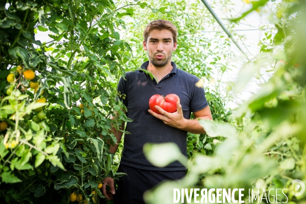 Clément Beucher, maraîcher bio en Mayenne (53)