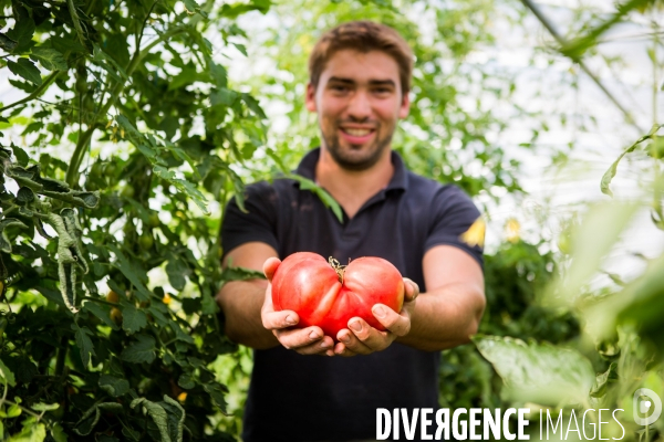 Clément Beucher, maraîcher bio en Mayenne (53)