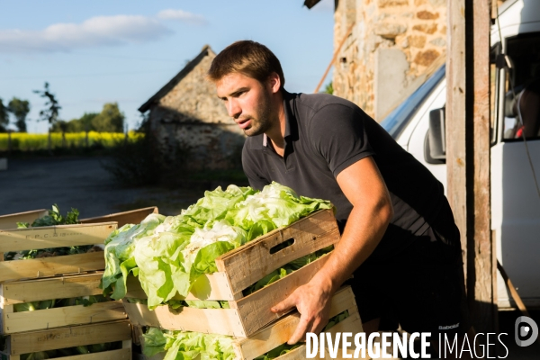 Clément Beucher, maraîcher bio en Mayenne (53)