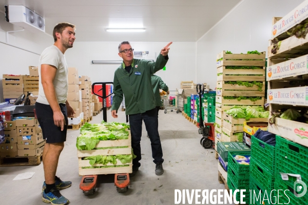 Clément Beucher, maraîcher bio en Mayenne (53)