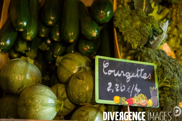 Clément Beucher, maraîcher bio en Mayenne (53)