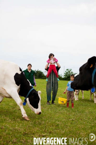 Exploitation intensive de vaches laitières en Mayenne (53)