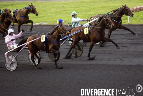 Prix d Amérique 2010