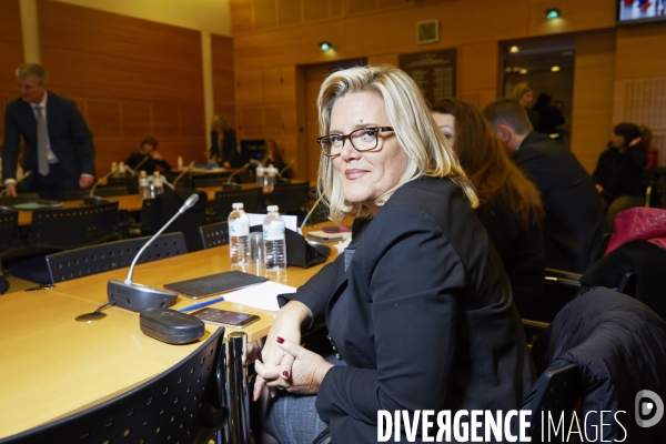 Assemblee Nationale 21 janvier 2015