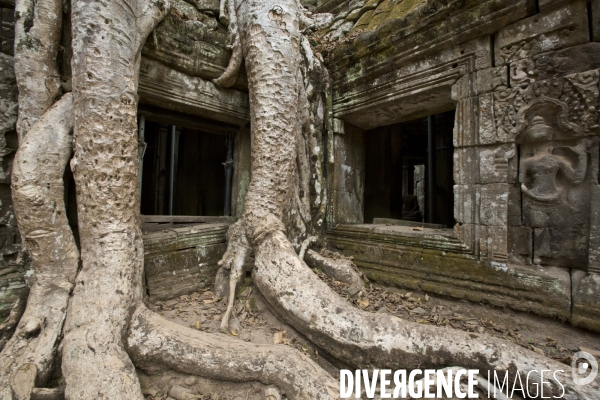 Temples d angkor/cambodge