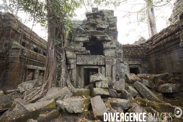 Temples d angkor/cambodge