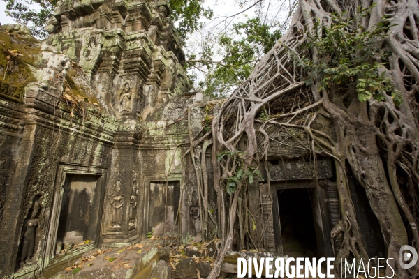 Temples d angkor/cambodge