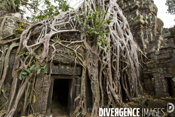 Temples d angkor/cambodge