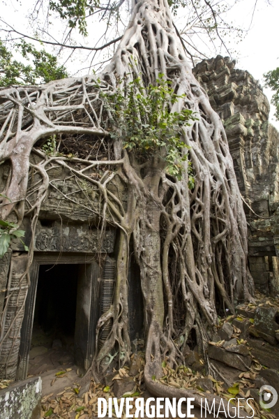 Temples d angkor/cambodge