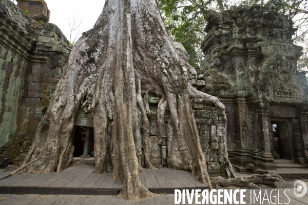 Temples d angkor/cambodge