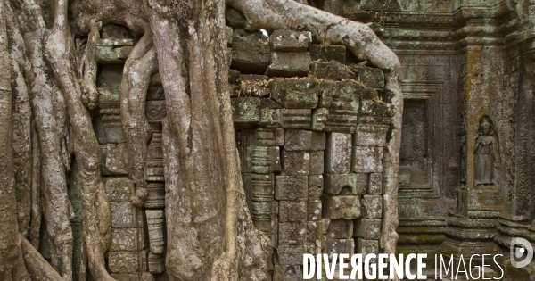 Temples d angkor/cambodge