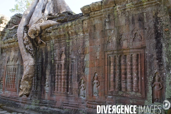 Temples d angkor/cambodge